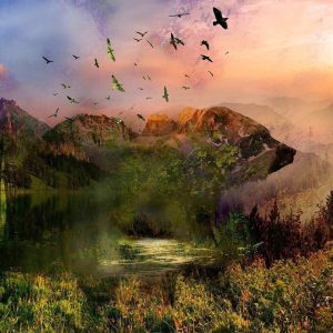 Fotobehang – Bear in the Mountain