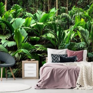 Fotobehang – Freshness of the Jungle