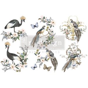 Redesign – Decoratietransfer – Rare Birds