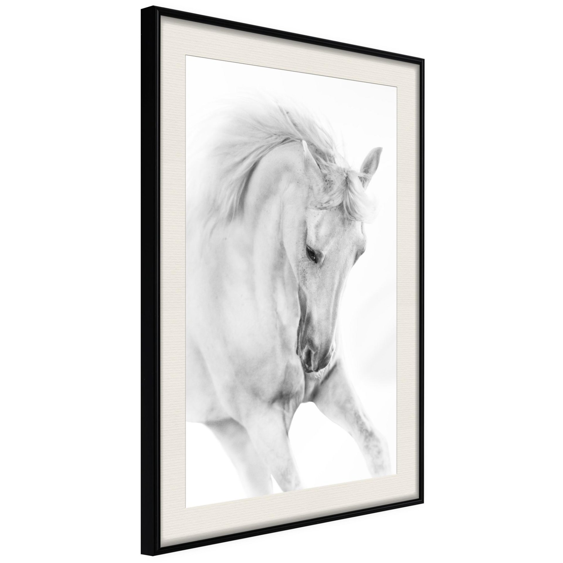 Beauty in Motion - Afbeelding 3